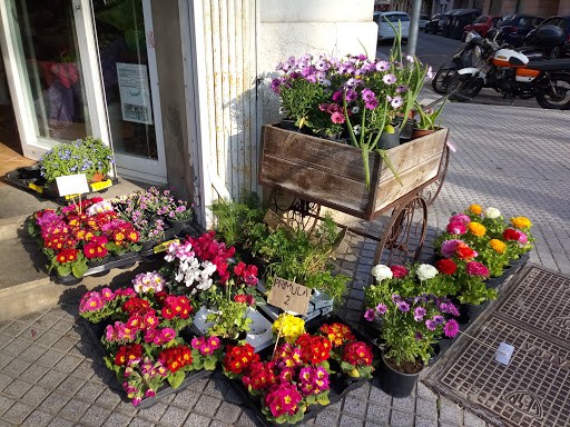 Floristería Abolengo