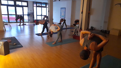 Abhyasa Yoga Sala