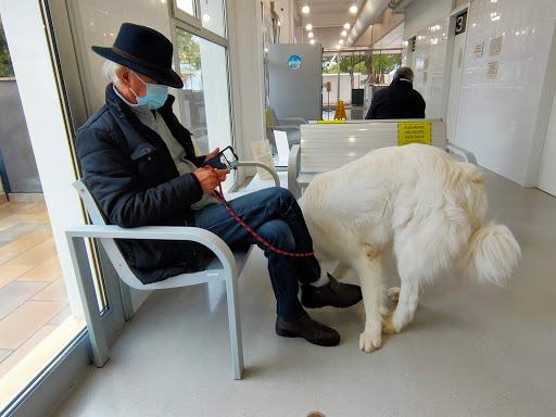 Hospital Veterinari Canis