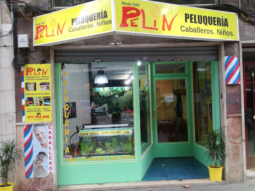 Peluqueria Pelin