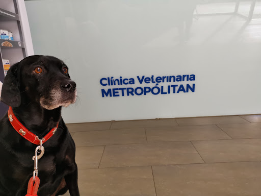 Clínica Veterinaria Metropólitan