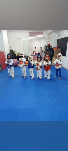 Gimnasio taekwondo Falcon's