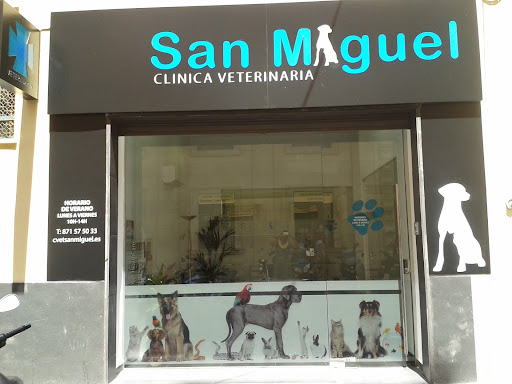 Clinica Veterinaria San Miguel