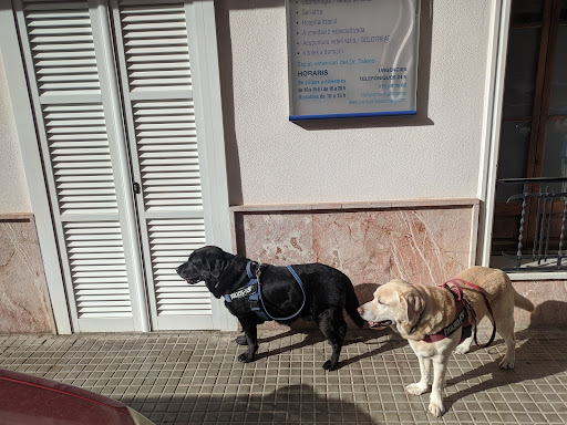 Blanquerna Centre Clínic Veterinari