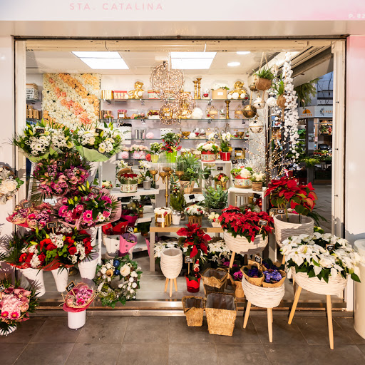 Floristeria Fleurs Santa Catalina