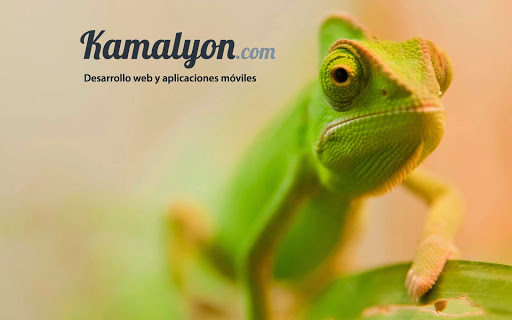 Kamalyon.com