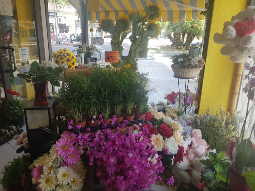 Floristería Girasol en Palma de Mallorca