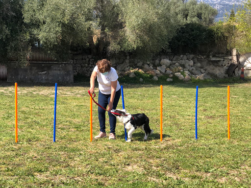 InCan Educación Canina