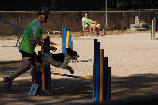 Club Agility Son Gual