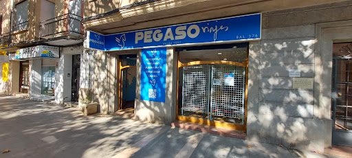 Viajes Pegaso