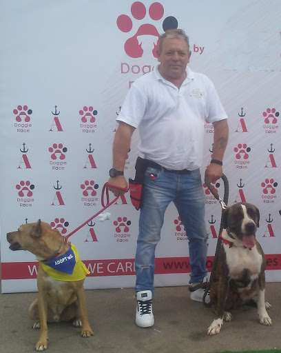 Balanced Dogs Mallorca Adiestramiento Canino