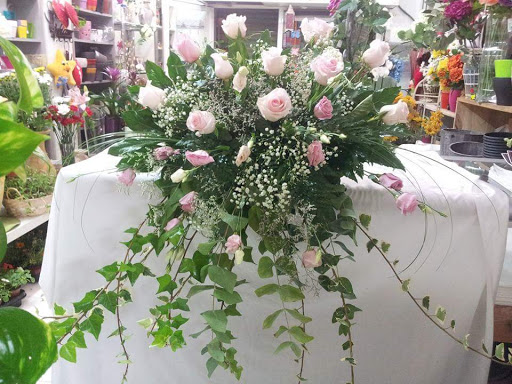 Eli Floristería