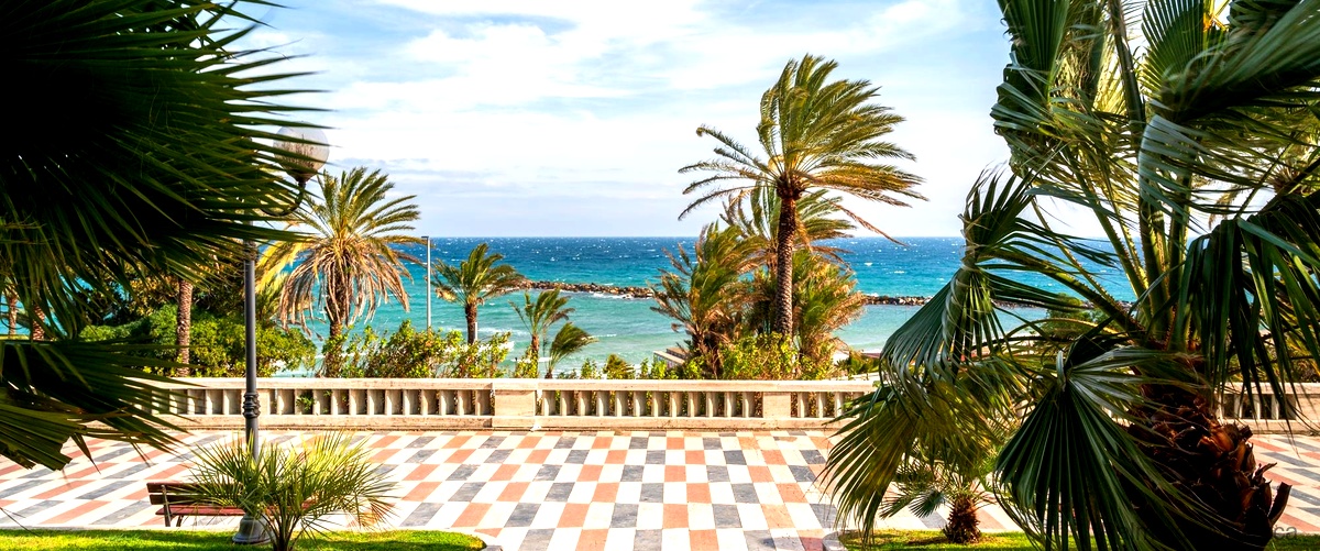 Las 11 mejores empresas de conserjería en Palma de Mallorca