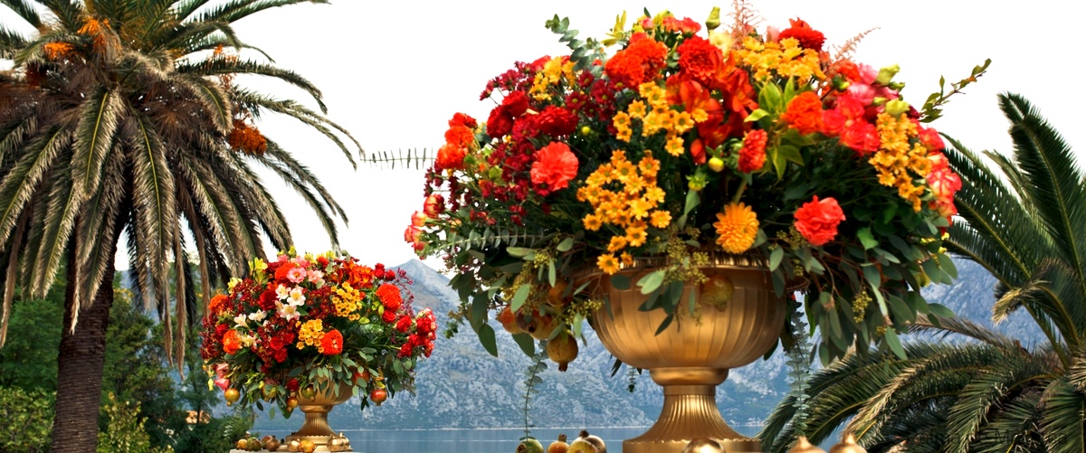 Las 19 mejores floristerías de Palma de Mallorca