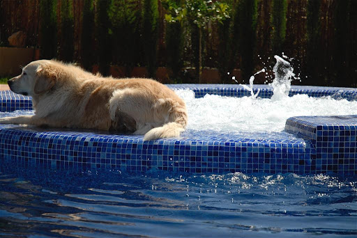 Agua Técnica Balear