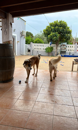 Ca Sa Nina (LIBRES Y FELICES COMO EN CASA)