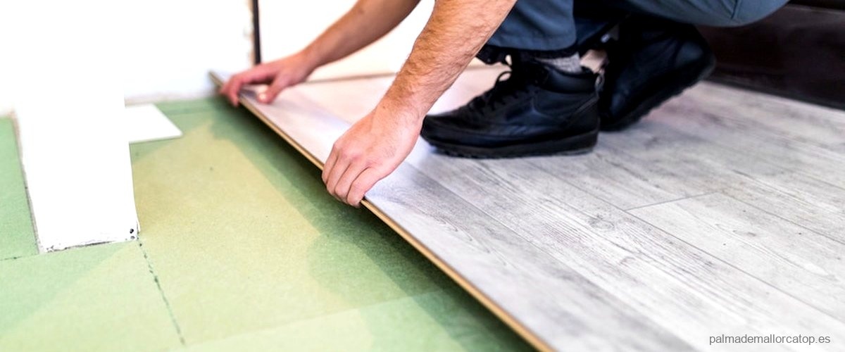 3 mejores servicios de laminado en Palma de Mallorca